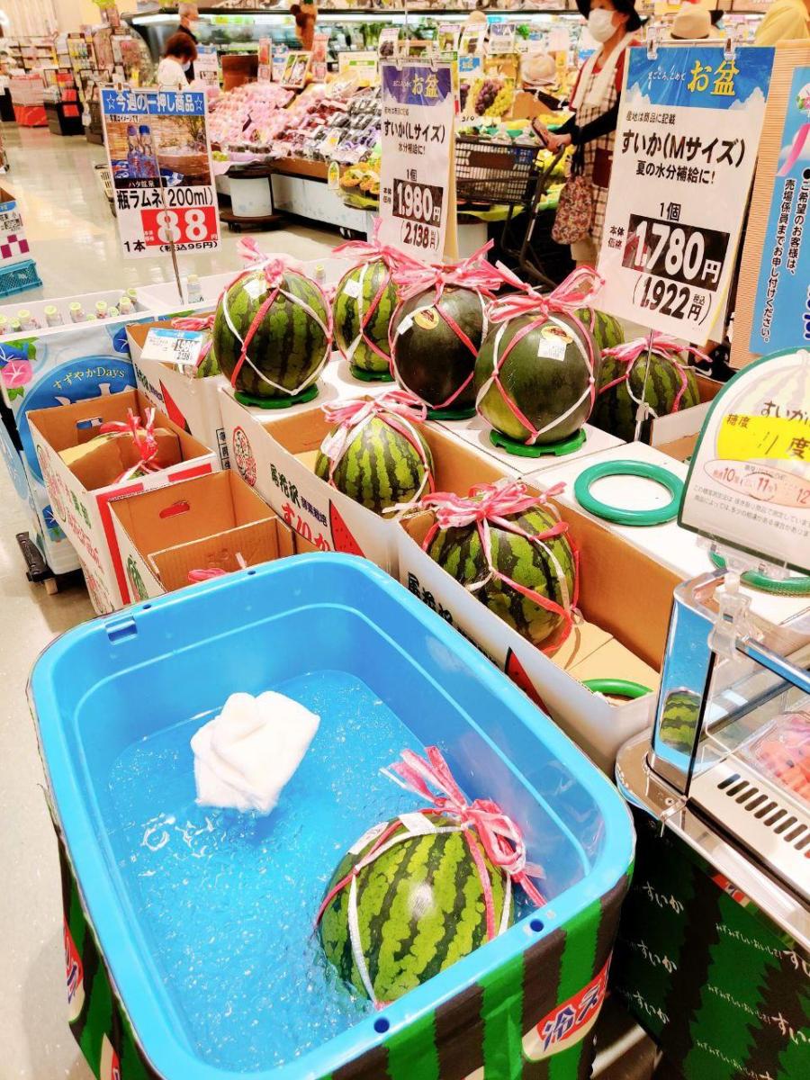 photo_2020-08-13_14-09-34