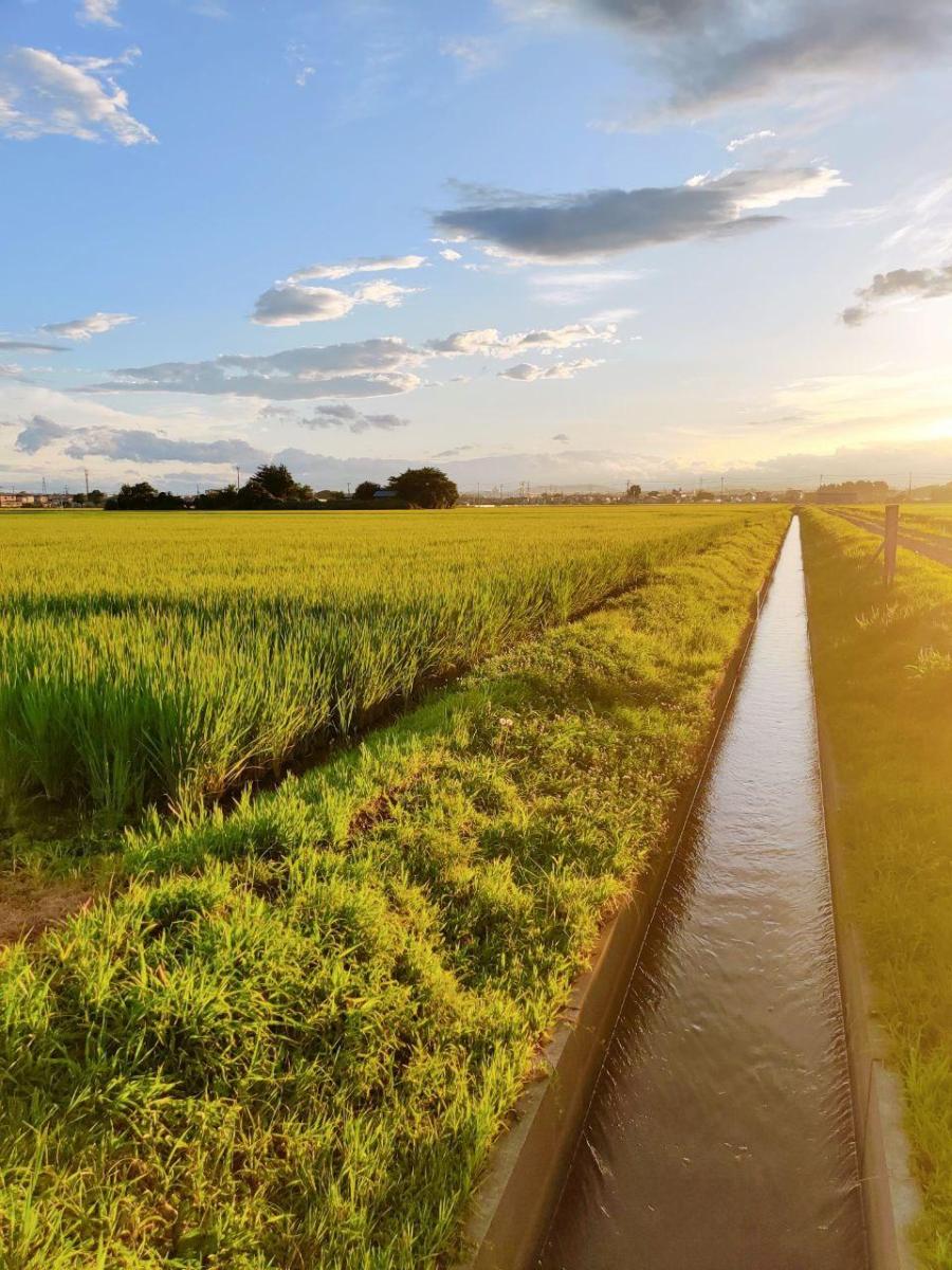 photo_2020-08-13_14-09-37