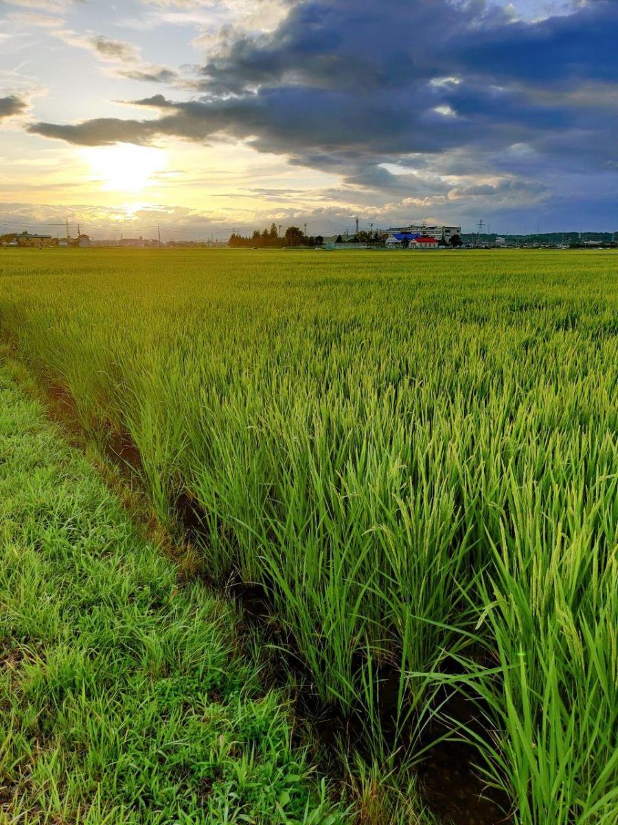 photo_2020-08-13_14-09-50
