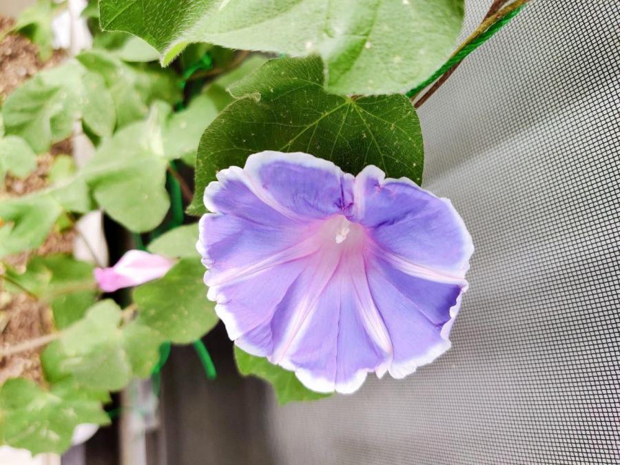 photo_2020-08-13_14-09-56