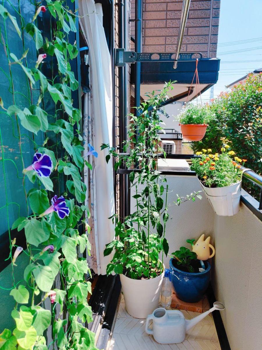 photo_2020-08-19_11-04-58