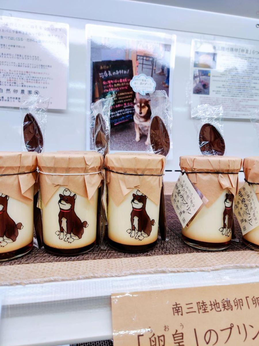 photo_2020-08-30_00-15-16