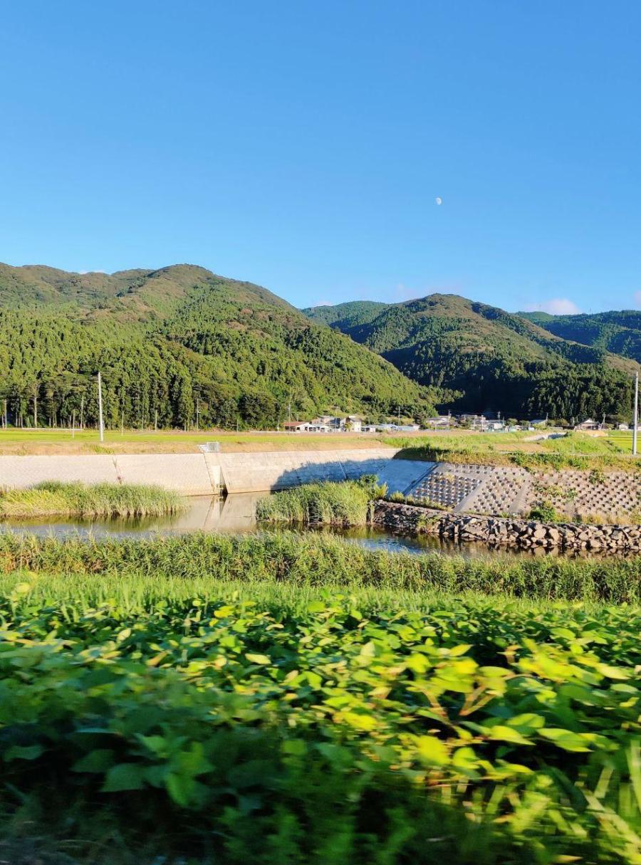 photo_2020-09-02_14-58-44